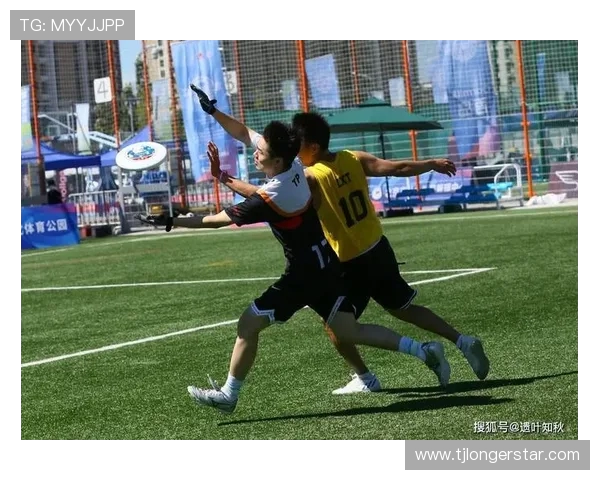 飞盘节奏排行榜揭晓北京飞盘队荣获第三名佳绩